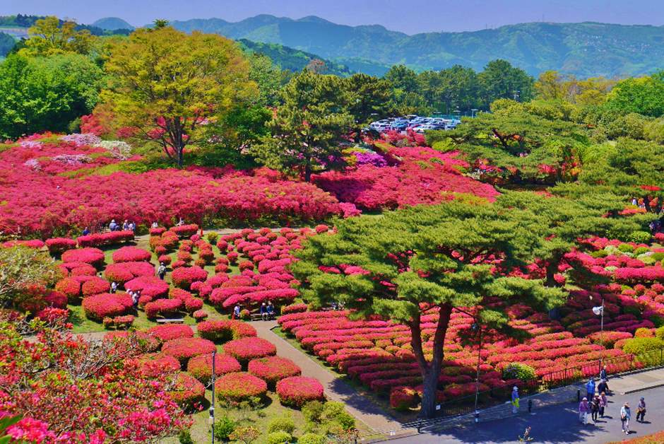 小室山公園つつじ祭り Izu Letters プラチナマップ